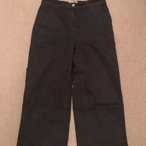 Everlane Wide Leg Crop Pants